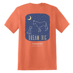 EP-203 Dream Big - Youth Short Sleeve Tee